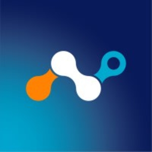 Netskope Private Access Logo