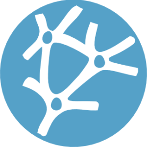 Neural Designer Logo