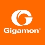 Gigamon Deep Observability Pipeline vs Observer GigaStor Logo